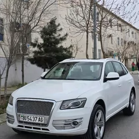Audi Q5 2010