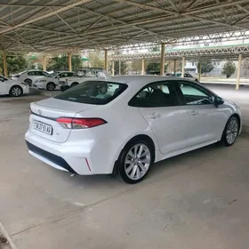 Toyota Corolla 2022