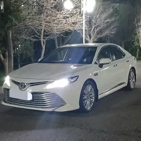 Toyota Camry 2019