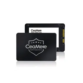 256 GB SSD SATA ️ Ceamere
