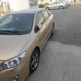 Toyota Corolla 2010