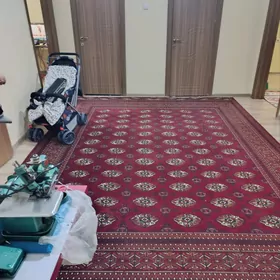 JEMAGAT 3 KOMNAT EÝESINDEN