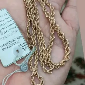 Гадым спочка