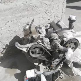 Матор галовка