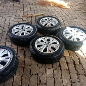 Diska pokriska ylalasharys