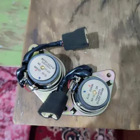 Duty tarpeda pyşalga