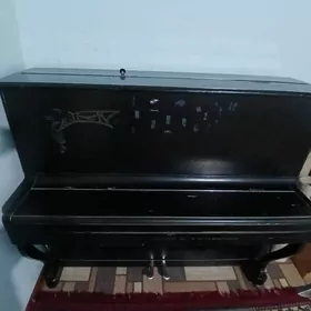 pianino