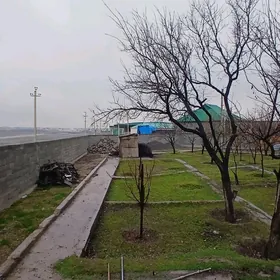 Boş mellek ÿer, Täze Gämi