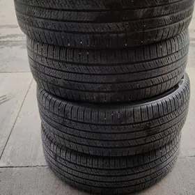 245/55R19