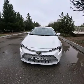 Toyota Corolla 2020