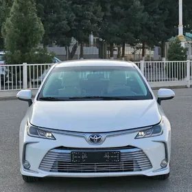 Toyota Corolla 2021