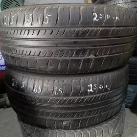 215,65,15 iki stuk 205,65,15,
