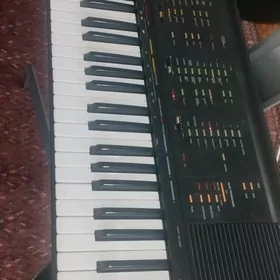 ritim. bulok. ýamaha. 70.