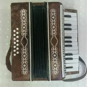 Детский Аккордеон