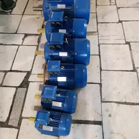 Электродвигатель