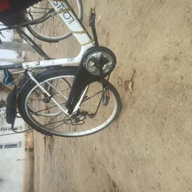 welosiped27/6skor,dinamo top