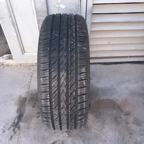 225 50 18 1stk nankang taze