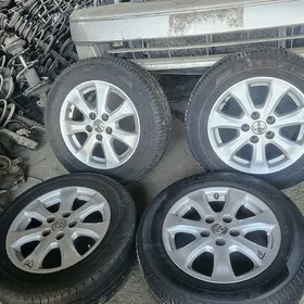 Okuzkelle 16lyk disga prastoy