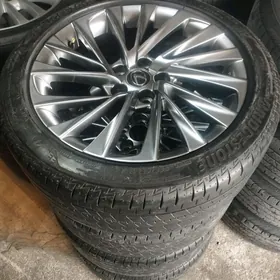 leksus diska pakryska