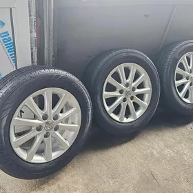 Okuzkellan xle disgasy morda