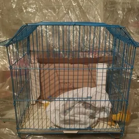 Клетка обмен есть