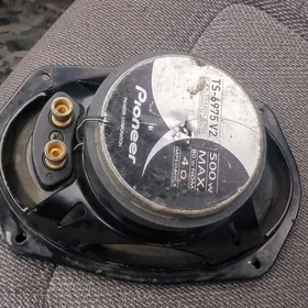 pioneer nikil 500lik arginal