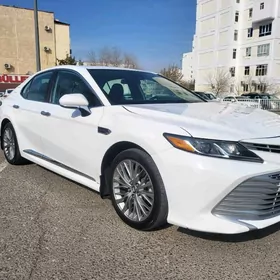 Toyota Camry 2020