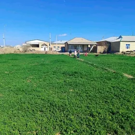 Satlyk jay Wekilbazar etrap