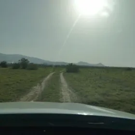 waditel ish gozleyan