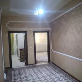 ANEW DACA ARZAN PLAN