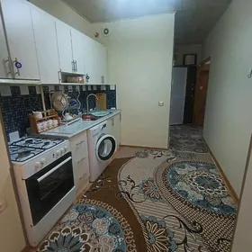 Howdan W, satlyk jay