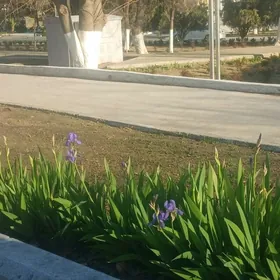 10мкр 3ком Гаудан. План СРОЧНО