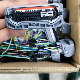 Shtekrlar toyota hyundai bmw