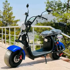 TIGIR MATOR PARTA KARSOK MASYN