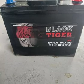 Akkumulýator BLACK 500 manat