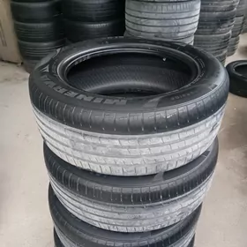 225 55 16.   yyl 2024