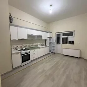 ÄNEW AMATLY POLUELITKALAR