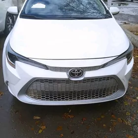 Toyota Corolla 2021