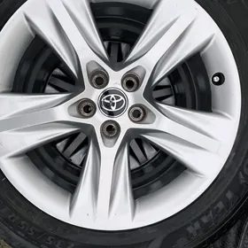 haÿlandyryñ 19 dysgasy