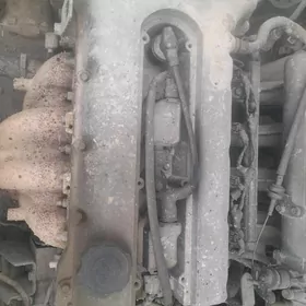 mark mator 2.5 prastoy