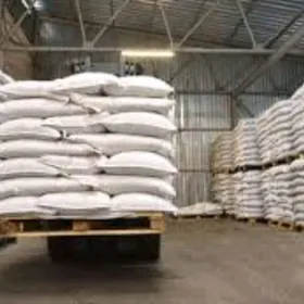 NULÝOWKA ПУЛЬПА ZATIRKA DERS