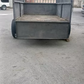 Prisep Polprisep 2025