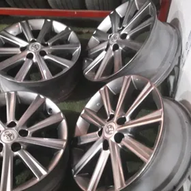 R17 palta cemri diska