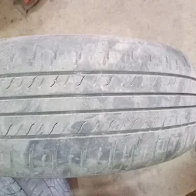 205.65.15.lik. bezkamir