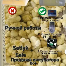 Inkubator Инкубатор 48 eggs
