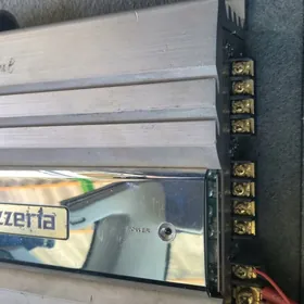 усилител carroziera