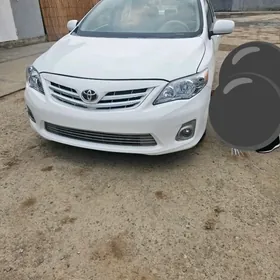 Toyota Corolla 2010