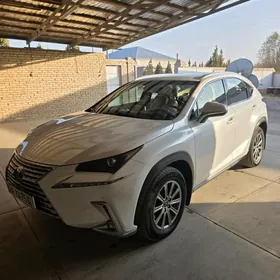 Lexus NX 300 2019