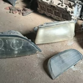 windom fara karina fara