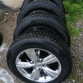 Siena 17 Arginal Disga Teker